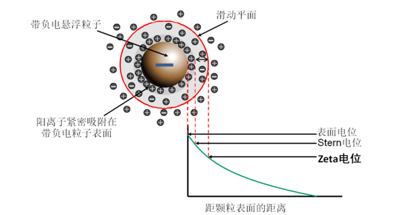 05 Zeta电位的概念图.png