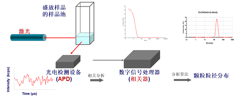 09 动态光散射粒径测量示意图.png 09 动态光散射粒径测量示意图.png